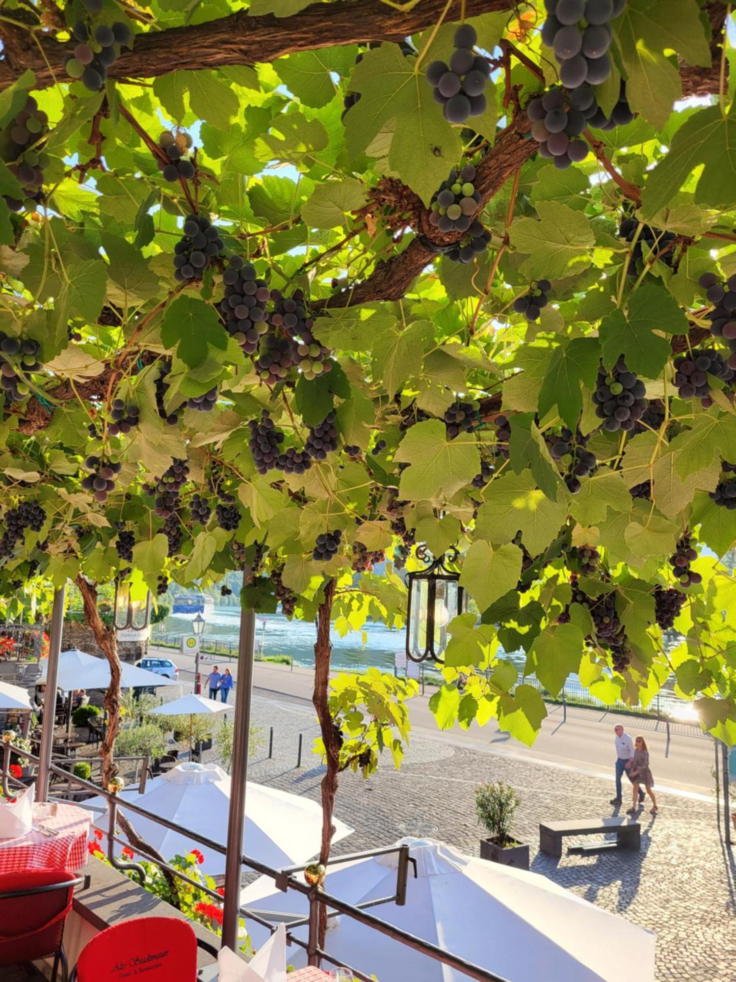 Hotel Restaurant Alte Stadtmauer Beilstein  Ngoại thất bức ảnh