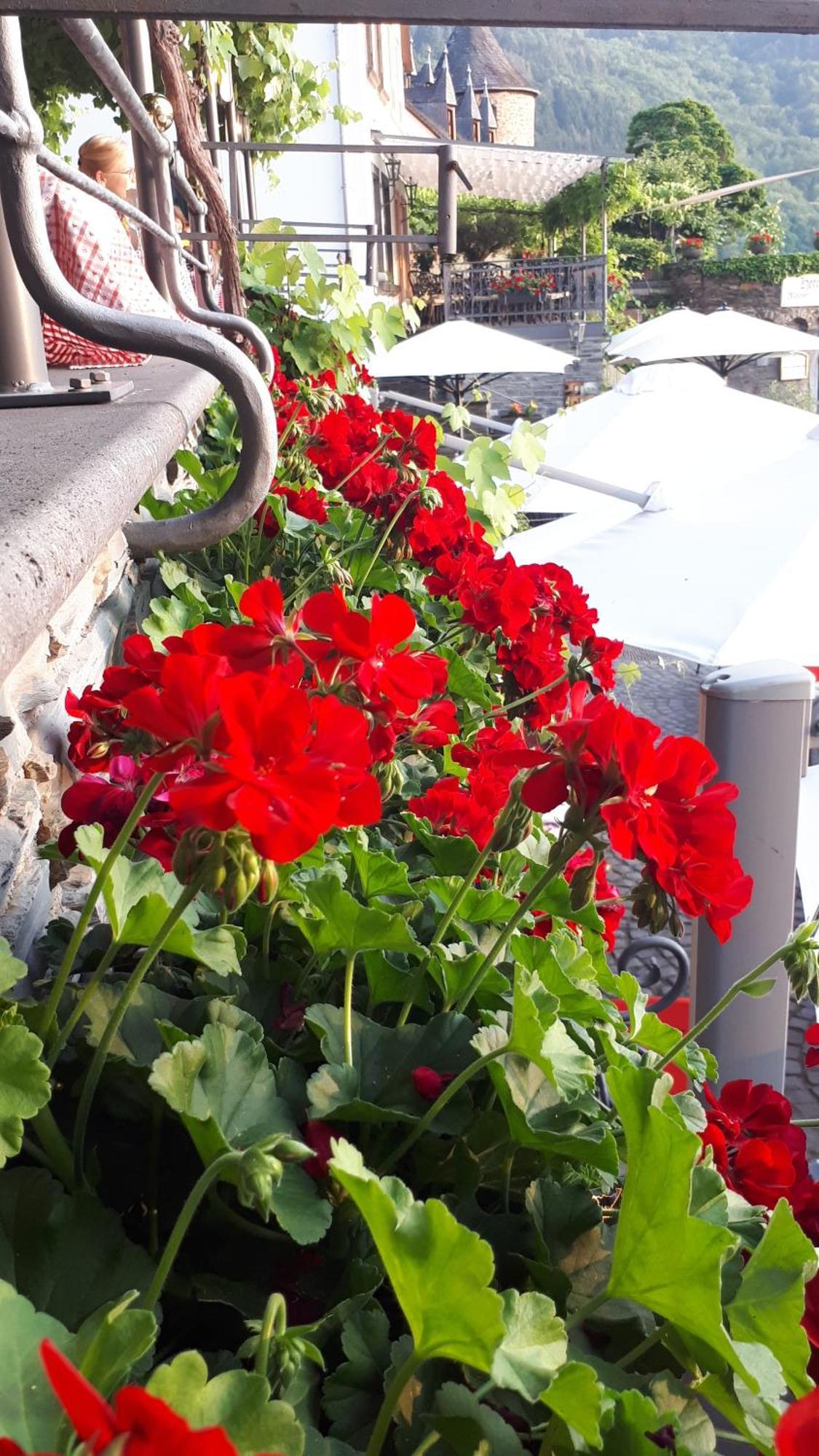Hotel Restaurant Alte Stadtmauer Beilstein  Ngoại thất bức ảnh